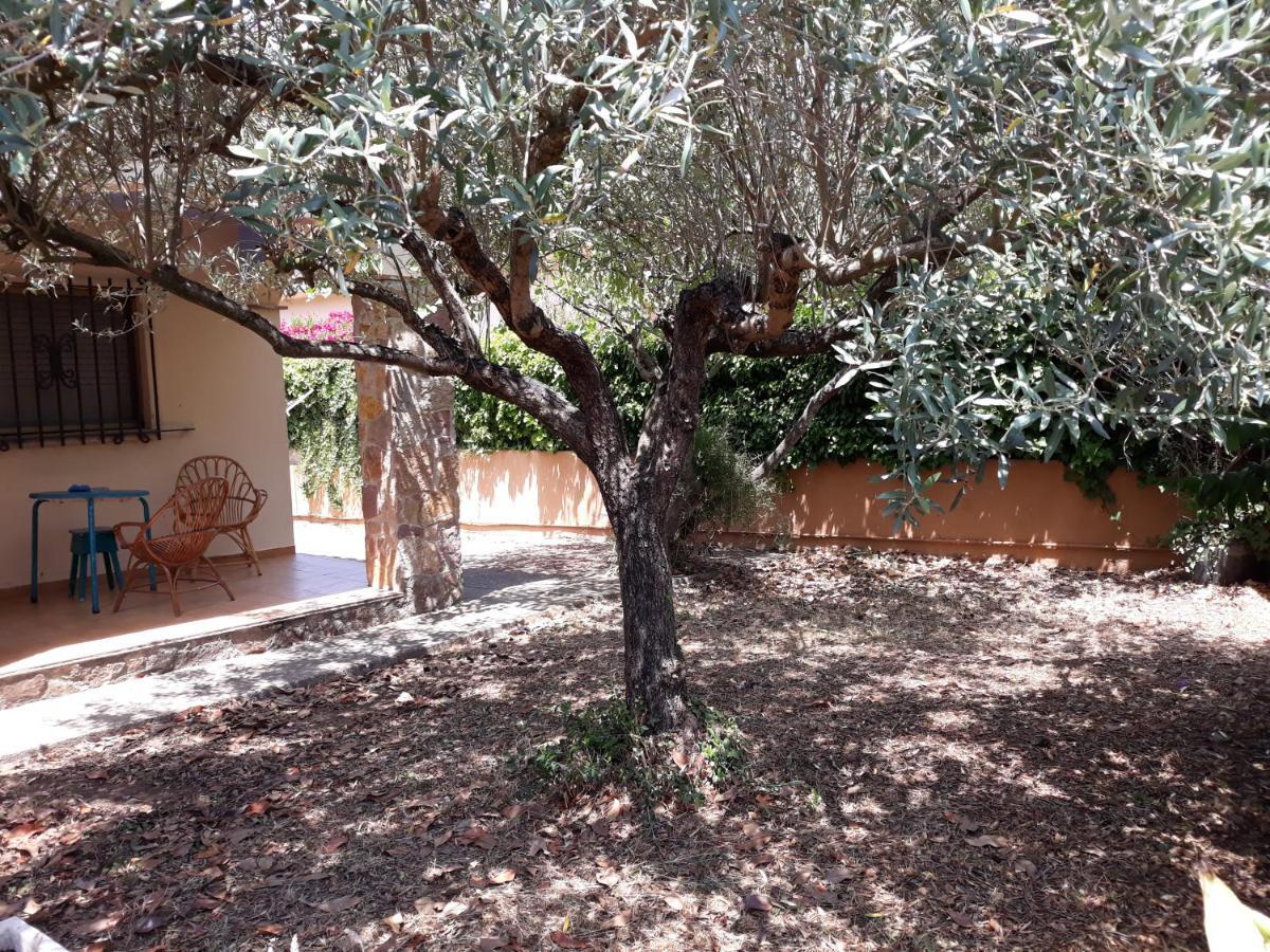 Casa Amb Gran Jardi A Vilauer-Costa Brava - Alt Emporda Vilaur Екстер'єр фото