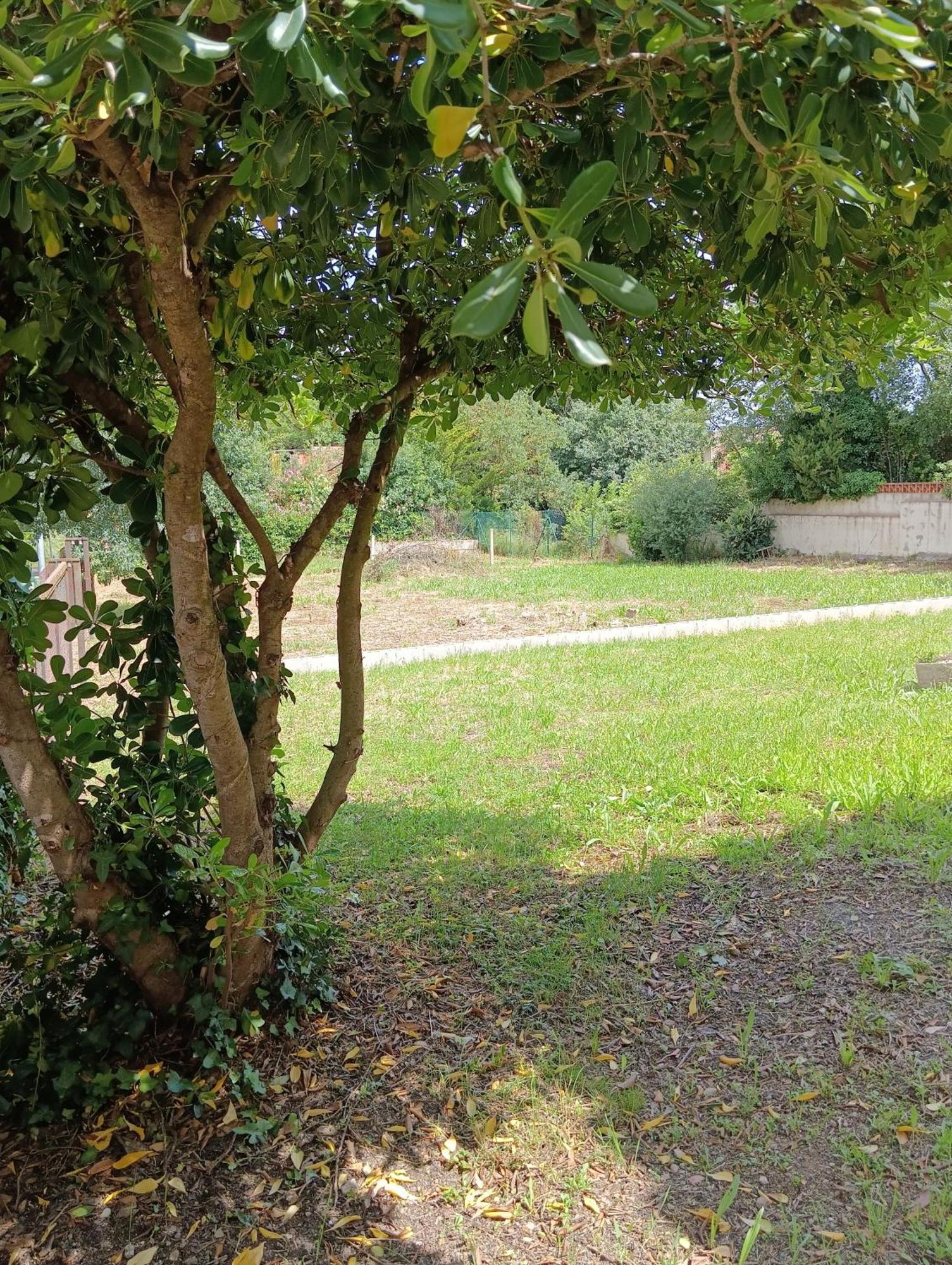 Casa Amb Gran Jardi A Vilauer-Costa Brava - Alt Emporda Vilaur Екстер'єр фото