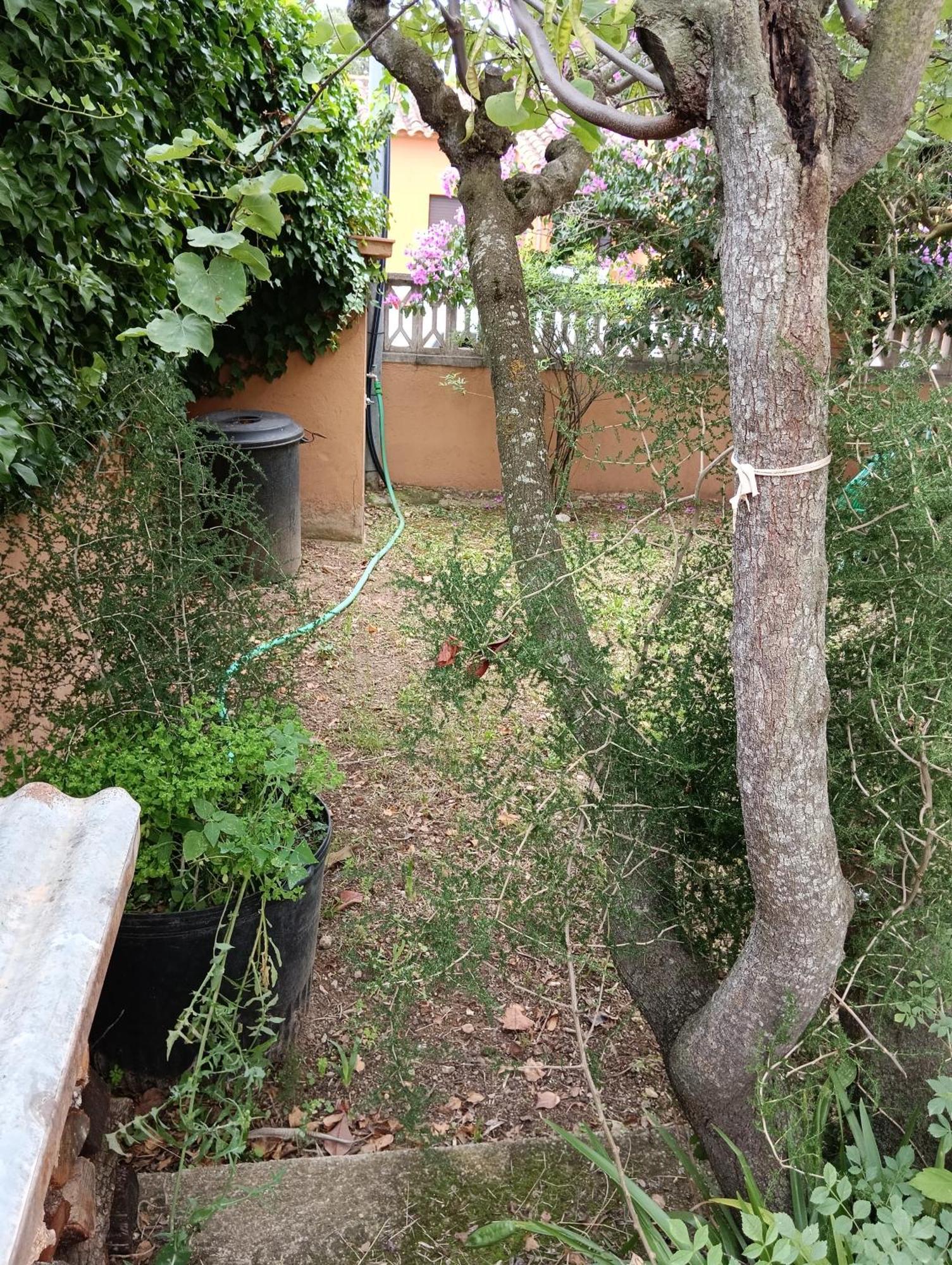 Casa Amb Gran Jardi A Vilauer-Costa Brava - Alt Emporda Vilaur Екстер'єр фото