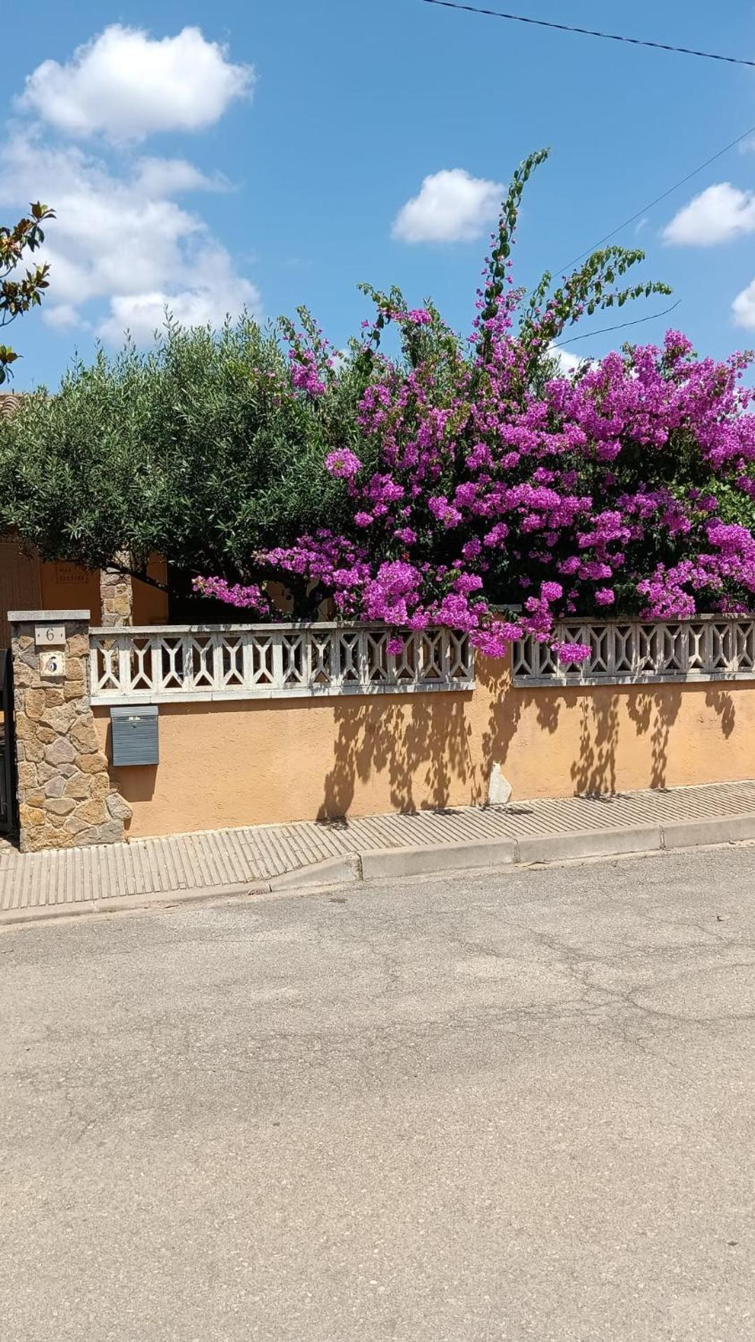 Casa Amb Gran Jardi A Vilauer-Costa Brava - Alt Emporda Vilaur Екстер'єр фото